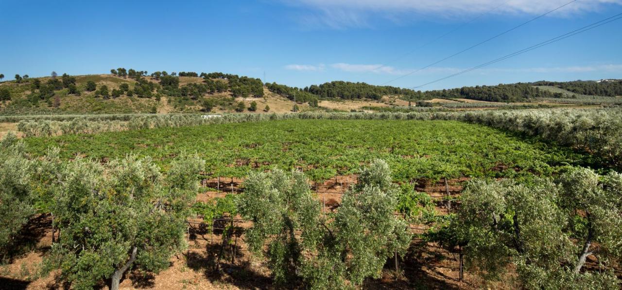 Agriturismo Posta Pastorella Βιέστε Εξωτερικό φωτογραφία