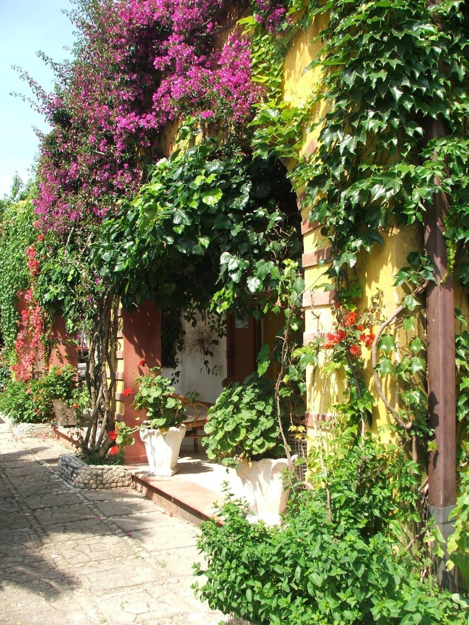Agriturismo Posta Pastorella Βιέστε Δωμάτιο φωτογραφία